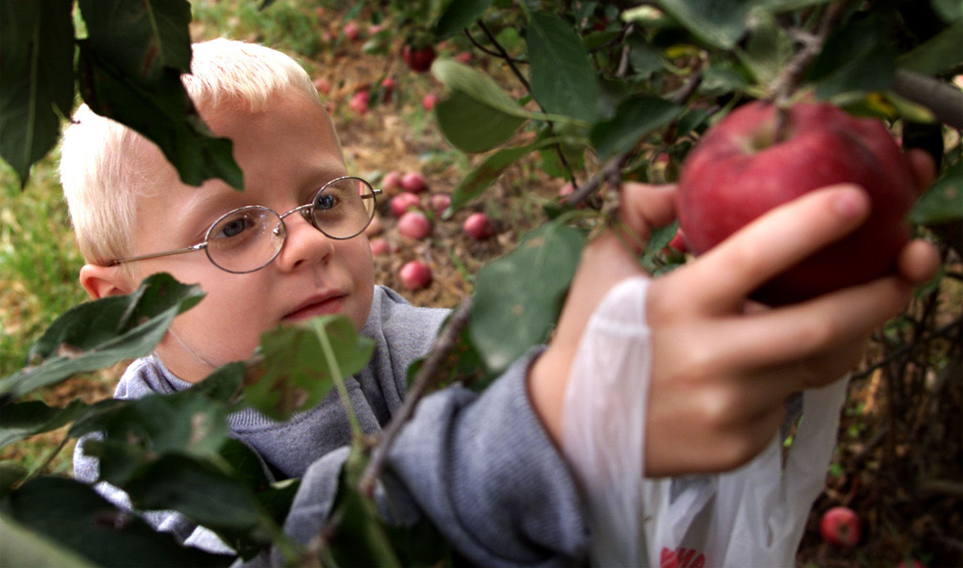 Welch’s Orchard